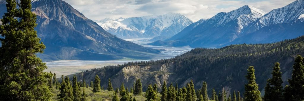 Services Bg 1024x341 1